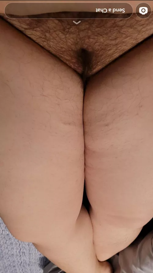 Morning Snaps by ThrashLG