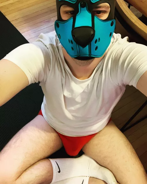 Morning Stretchies by Pup_Sage