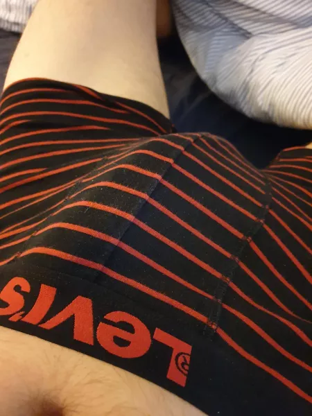 Morning stripes by paris_456