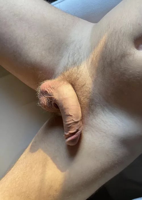 Morning sun ☀️ by Dutchie-dicks