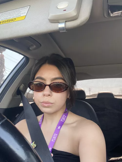 morning sun is blinding by elciesativa