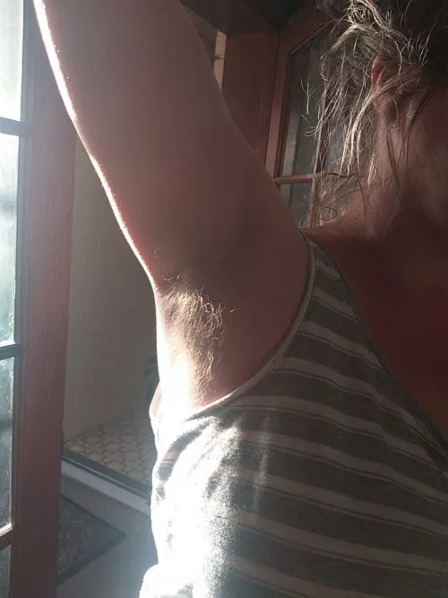 Morning sunshine by tritech11