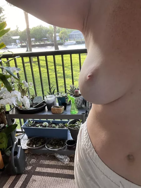 Morning view by freckledgingerkitten