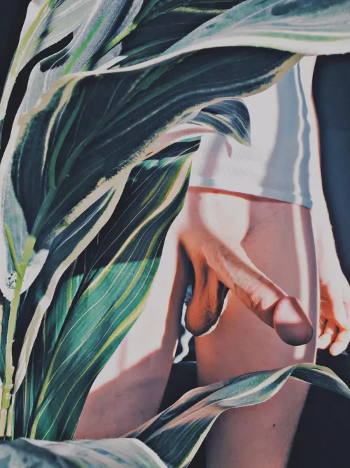 Morning Wood 🌄🍆🪵 by HungWhiteBull69