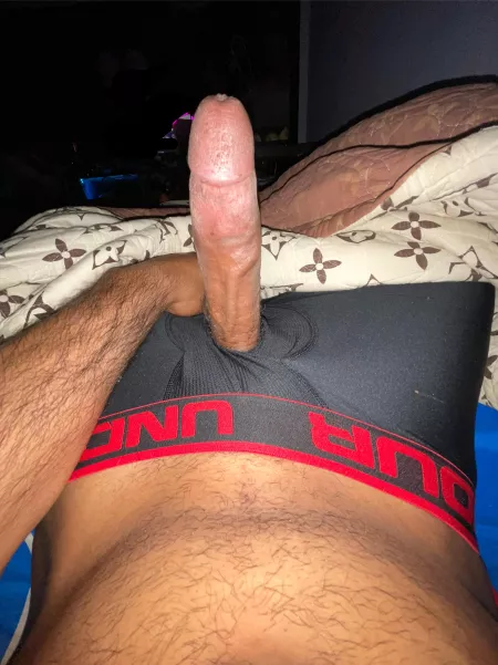 Morning wood… by Ill_Classroom_8980