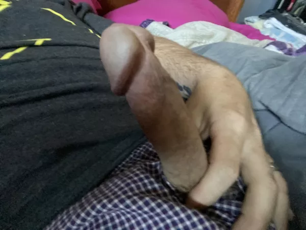 Morning wood by Jolly-Put6662