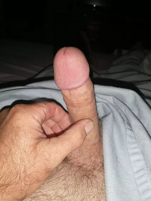 Morning wood by allen1975syd