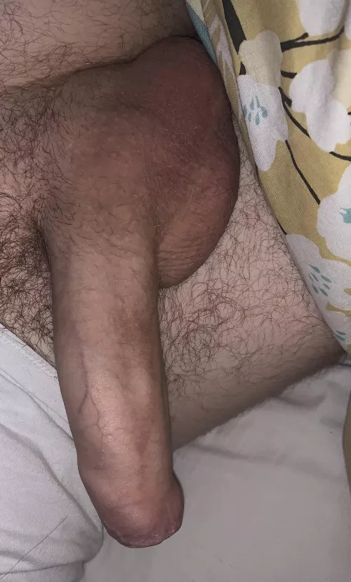 Morning wood by Oyarza