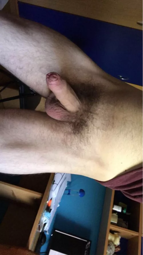 Morning wood. by xqboy