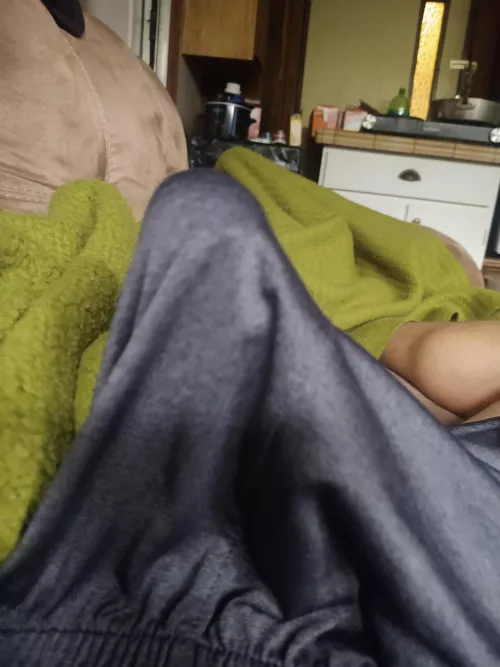 Morning wood, any ladies think they can take it? by Kage-1982