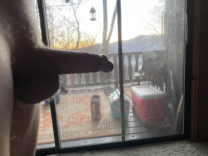 Morning wood by morning light by _love_licking