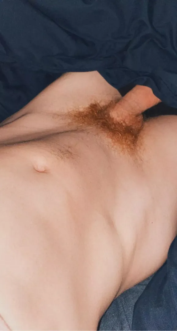 Morning wood posted by smalltown-gay