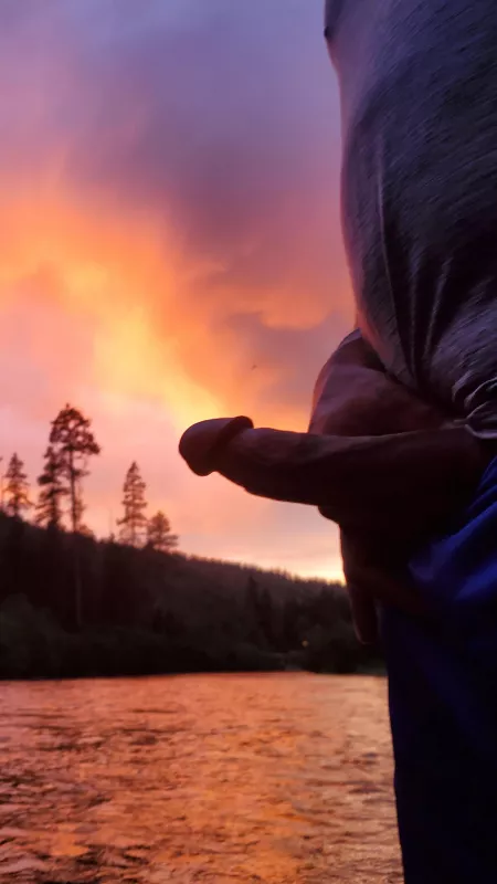 Morning wood on a sunrise hike. by Phlip037