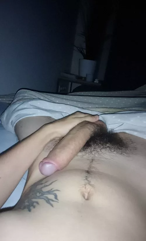 Morning wood shows off my pubes by DoodleDongle