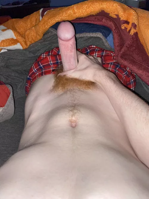 Morning wood by BigThrowaway-188