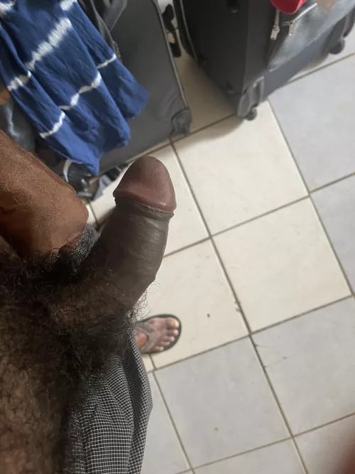 Morning woody by TD4BAY