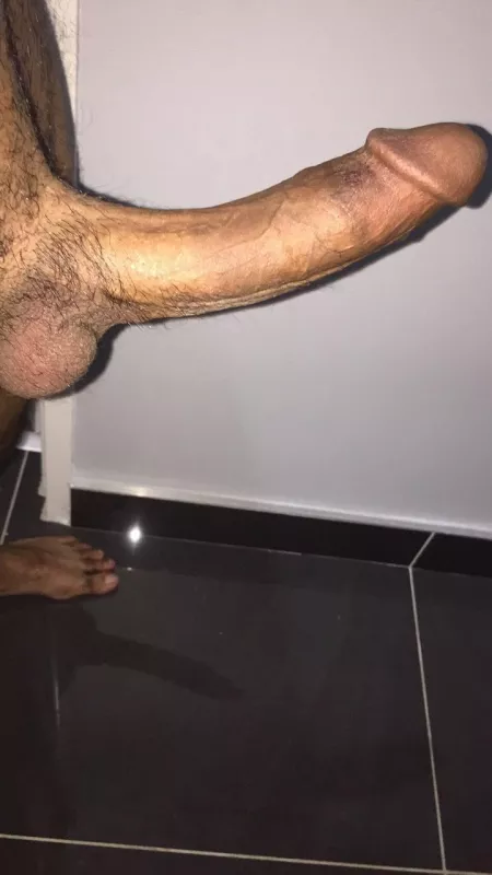 Morning you cucks by imraanaa