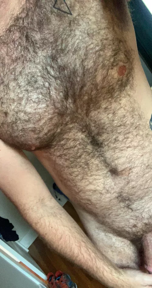 Morning. by PigLBC0123