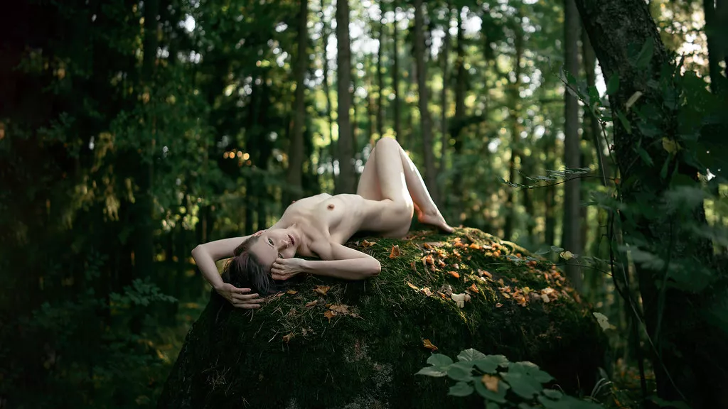 Mossy boulder posted by zadie_backinblack