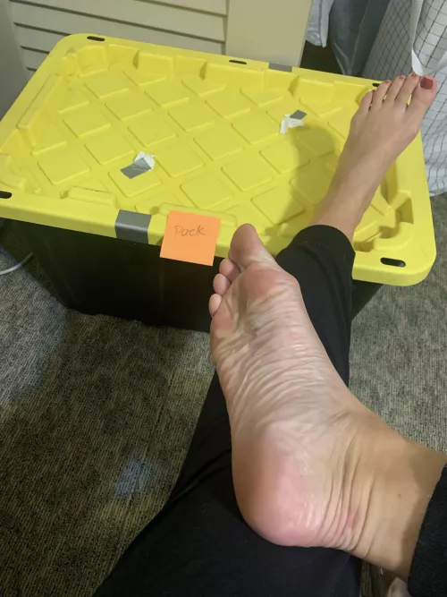 Moving day tomorrow! Who’s coming to help by TheLadyKay1