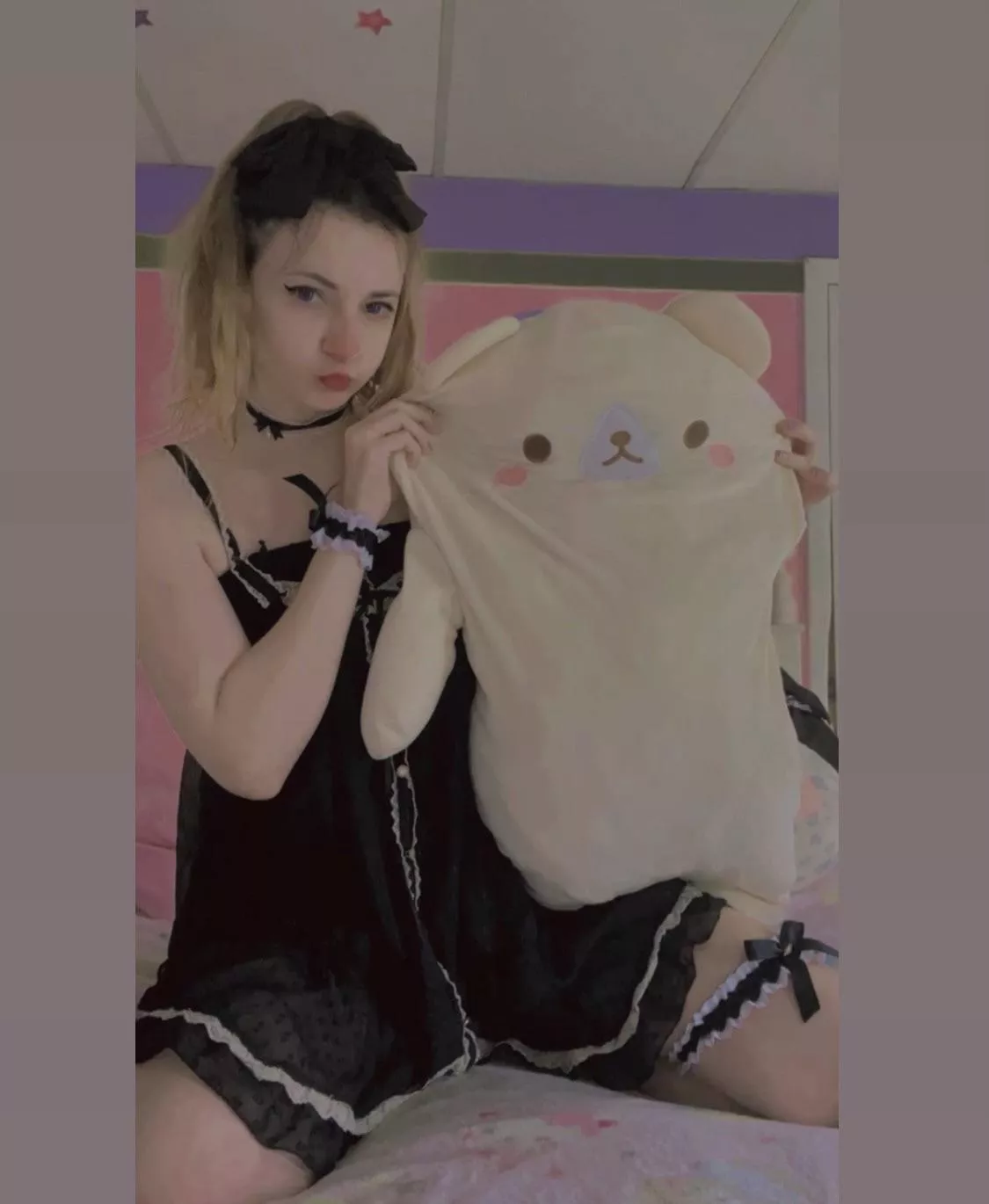 Mr. squishy face! 🐻 posted by tropicalsundaze