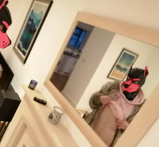 Mr Steal Your Pup~ 🐾💕😘 by pinkpuppyjinx