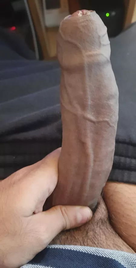 (m)Rate my 🍆 by Professional_Crow_73