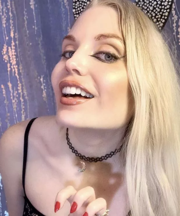 Mrs Claws is in town ! posted by ittybittyprettykitt_