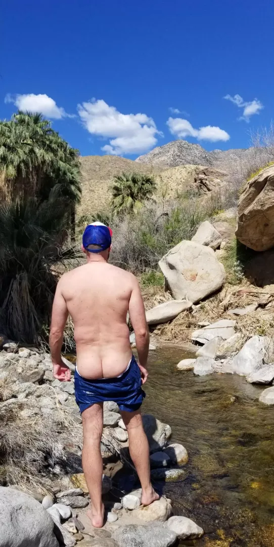 Murray Canyon, Palm Springs ❤️ posted by S2FD