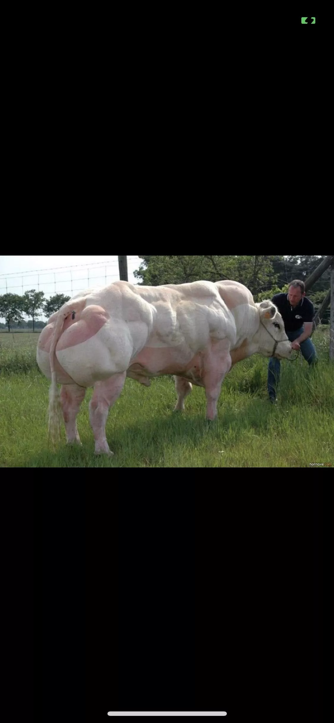 Muscle Milk posted by jitney76