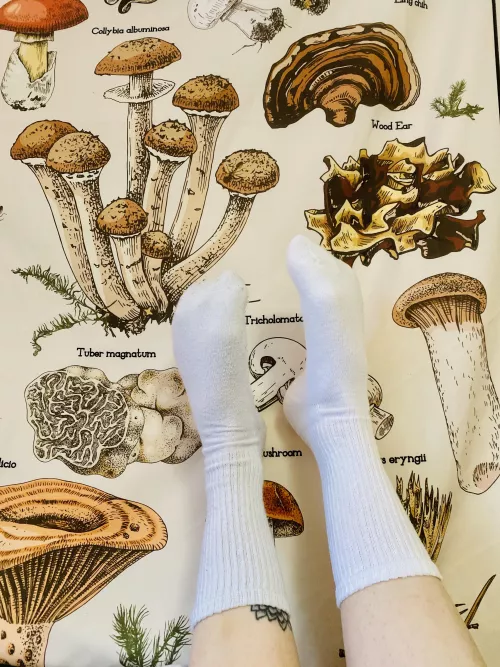 mush love 🧡 hope everyone has a wonderful day 💛✨ by sweetsiren69