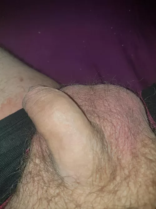 My 45 year old softie by willydig