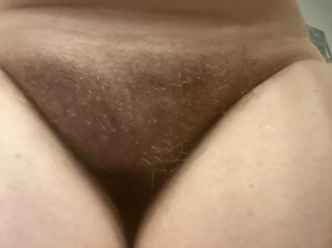 My 48 year old bush for you by ShouldaBeenAHippie