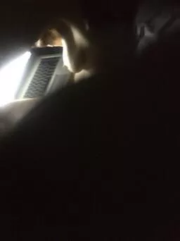 My posted by FabulousObligation97