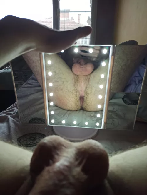 My ass. Chat me. by fucks_vagina