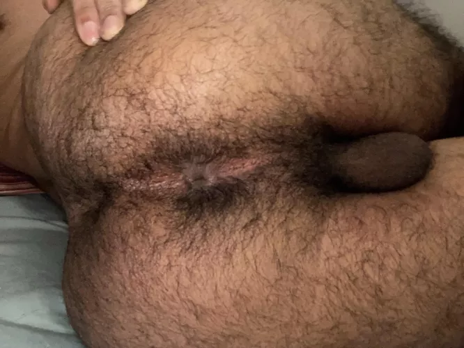 My ass has gotten so hairy lately 😳🙈😈 by BiTwink7769
