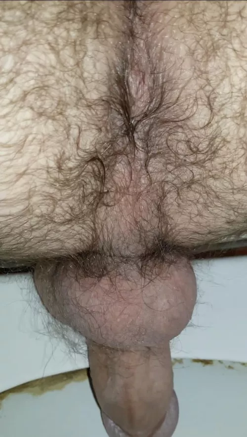 My ass on the toilet by yrekcaz1