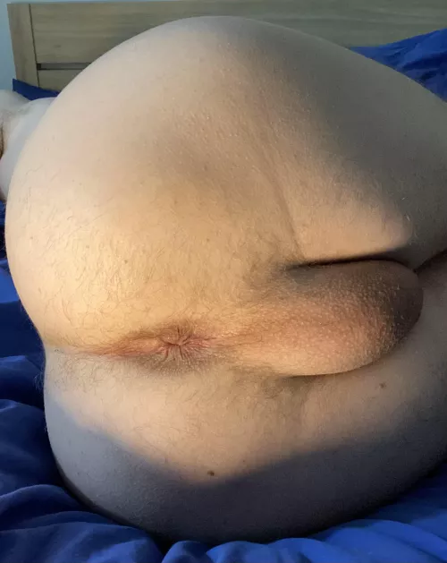 My asshole is a little camera shy but I’ve had a lot of requests to show it off so… 🥺 by yakyoghurt