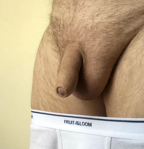 My average intact cock, grows to a respectable 5” by whitebriefs68