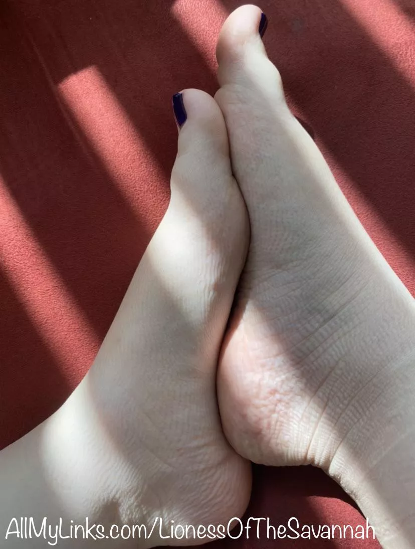 My barefeet just after I removed my Fishnet Socks 😋 posted by Savannahs_Feet