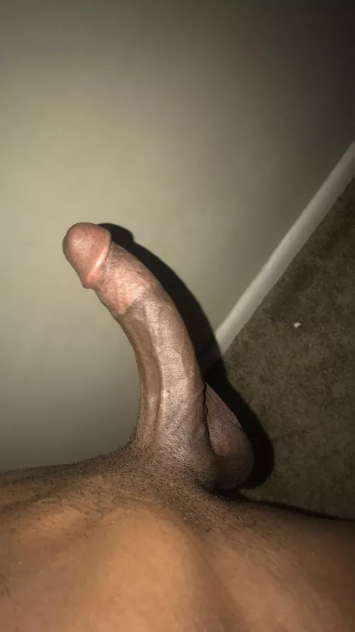 My bbc by Future-Wolf-1140