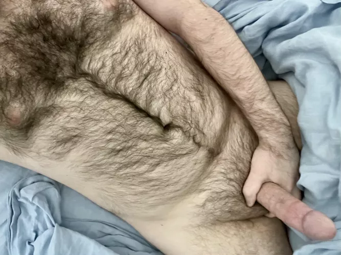 My bear cock for you all by hairythrowaway1313