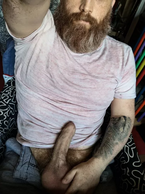 My boner and my beard! by BlokeBearded