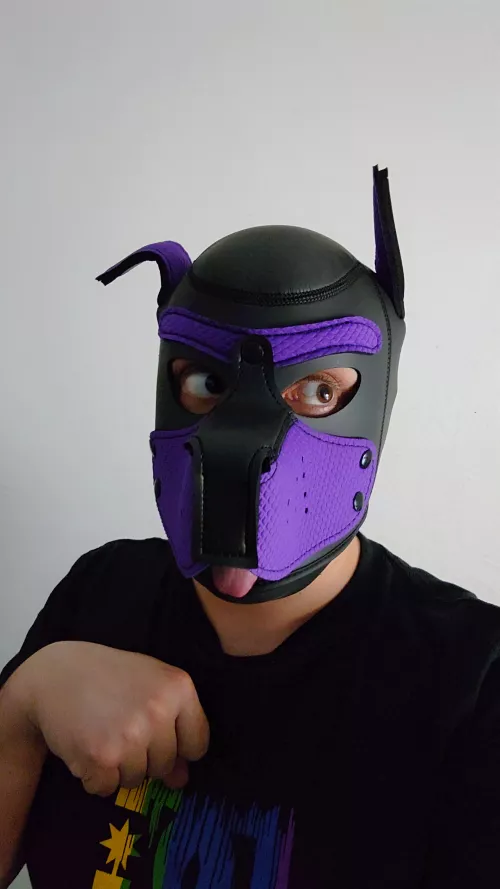 My boyfriend bought me this but I don't know anything about pup play 🙈 by Azovik