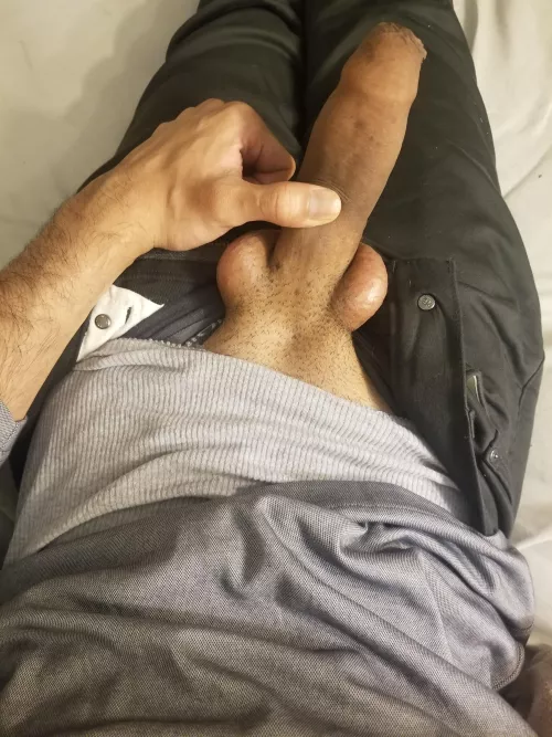 My brown cock and balls. What would you do with them? by dixon-U2