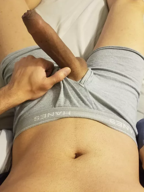 My brown dick waiting for you to take a seat by dixon-U2