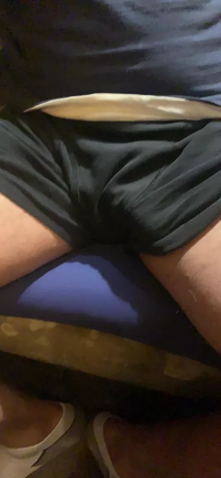 My buddy after the pool by Fun_Efficiency_4474