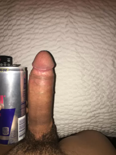 My bull by peterpumpkineater223