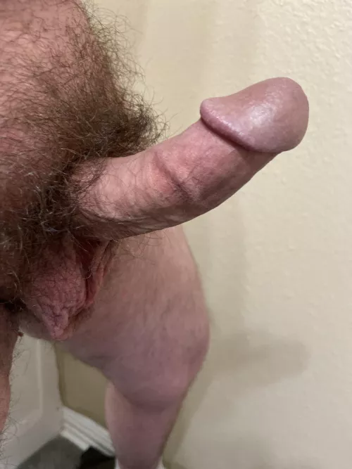 My bush (and dick) by quickdraw940