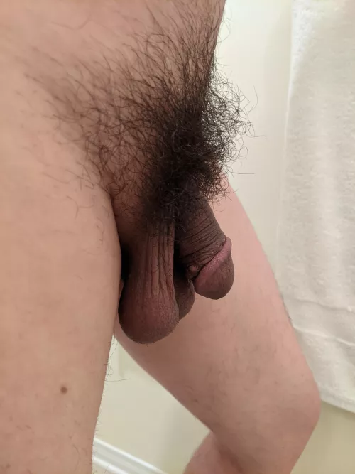 My bush - first time post by SmlPkg